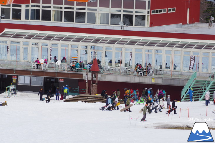 札幌国際スキー場 積雪豊富☆明日の営業最終日も、ほぼ全面滑走可能です!!